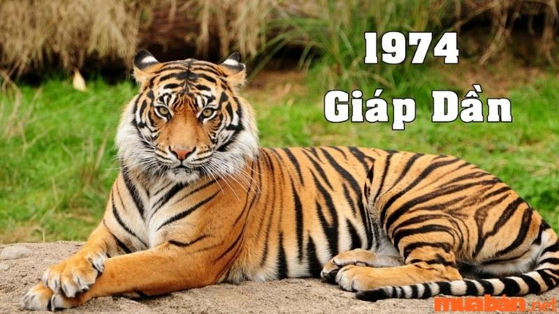 Chọn Tuổi Xông Đất Cho Người Sinh Năm 1978-Giáp Dần 1974.