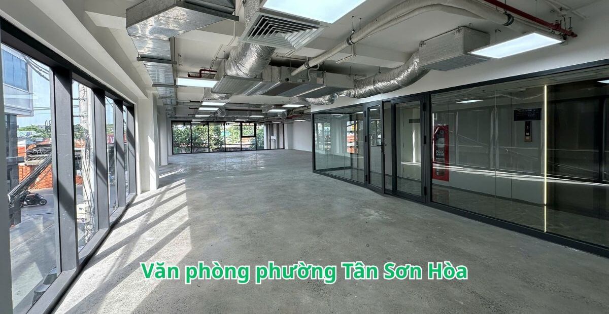 Bảng giá cho thuê văn phòng phường Tân Sơn Hòa năm 2025