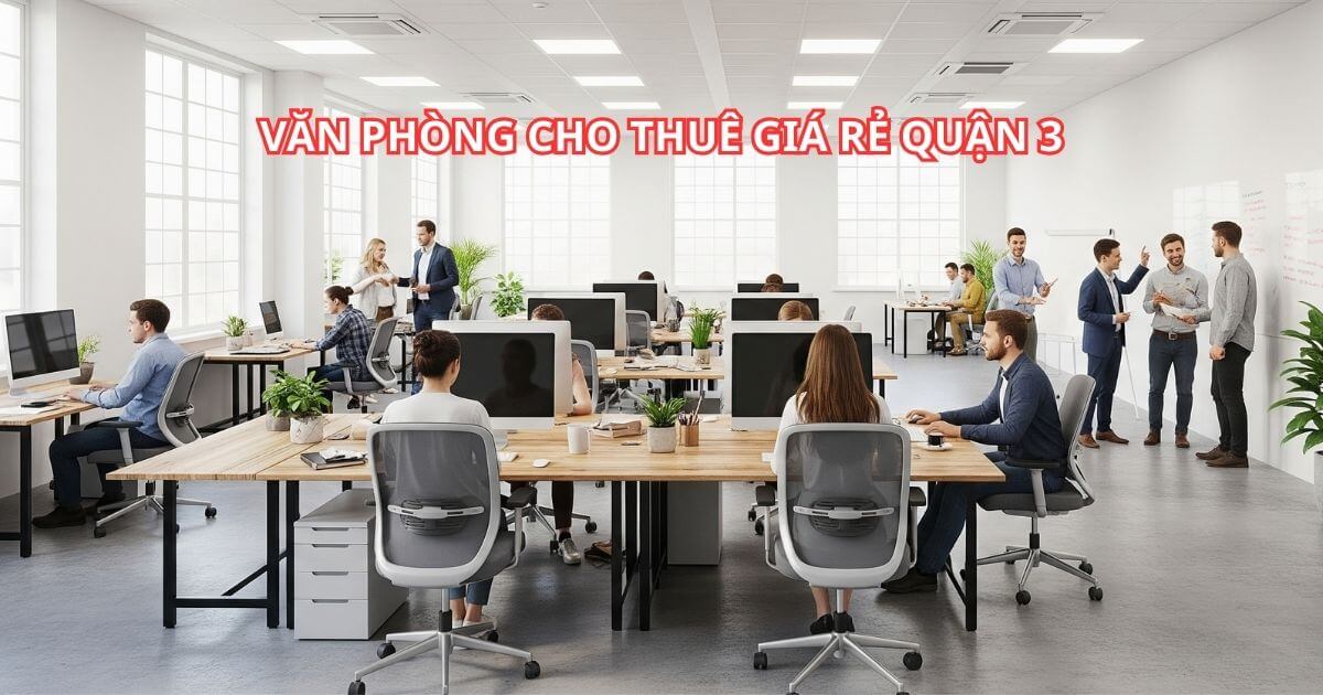 Top 5 Văn Phòng Cho Thuê Giá Rẻ Quận 3 Uy Tín Tốt Nhất 2025