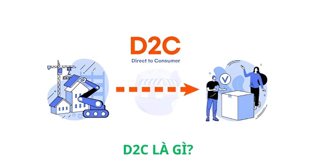 d2c là gì 4 điểm so sánh mô hình d2c b2c dễ hiểu chi tiết