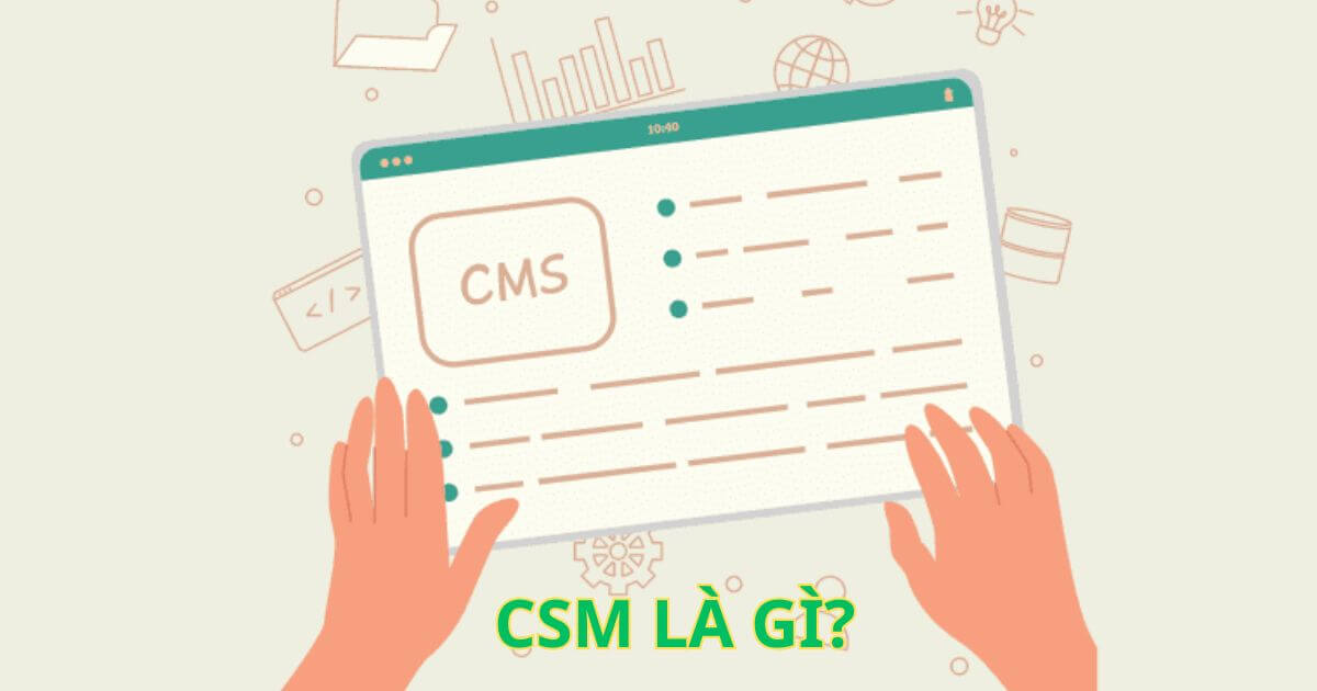 vai trò trong quản trị web cms