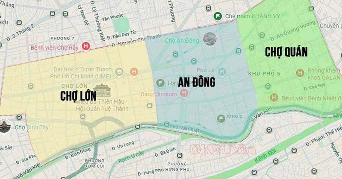 Phường Chợ Lớn thuộc Quận nào